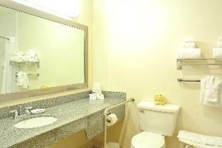 Western Seattle Airport 3*